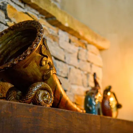 Prázdninový dům неси *